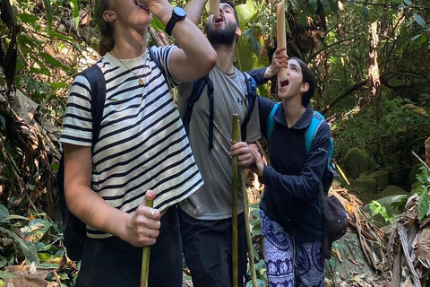 Chiang Rai: 1-Day Trekking and Longtail Boat Trip