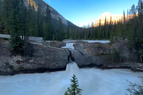 Banff/Calgary: Prywatna wycieczka po parkach narodowych Banff i YohoZ Calgary