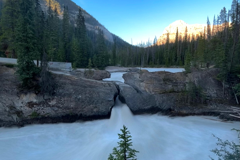 Banff/Calgary: Tour privato dei parchi nazionali di Banff e YohoDa Calgary