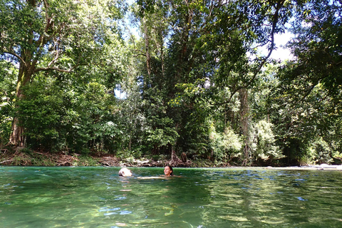 Cairns: Rainforest, Coastline and Landmarks Guided Tour