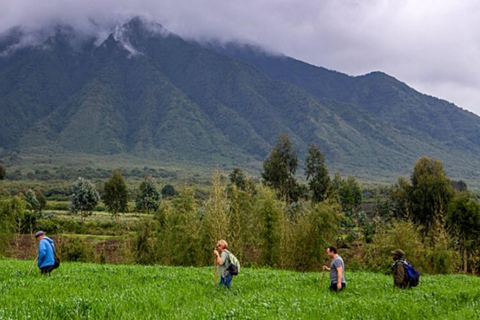 Excursión al Monte Bisoke en el Parque Nacional de los Volcanes