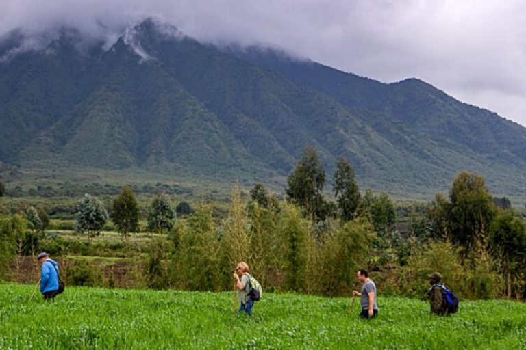 Excursión al Monte Bisoke en el Parque Nacional de los Volcanes