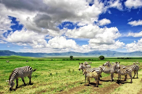 Arusha: Ngorongoro Crater Day Trip with Game Drive