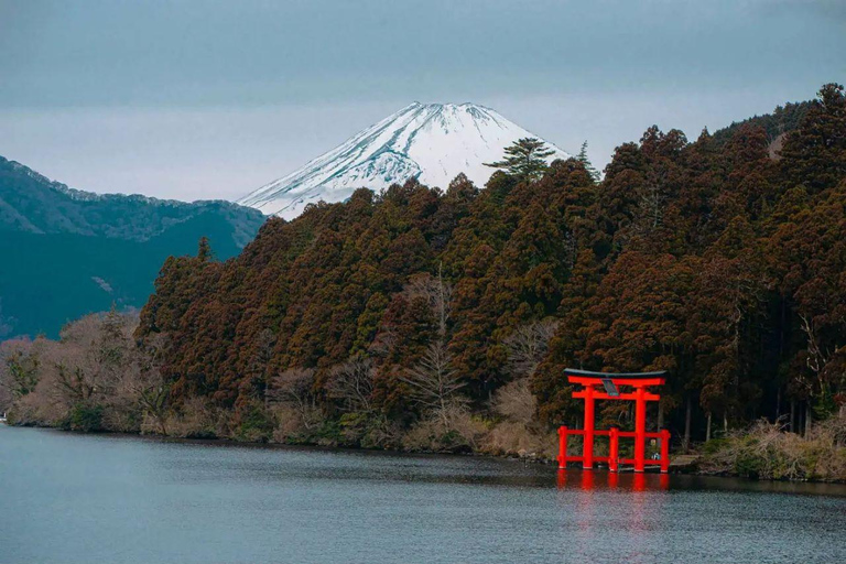 Berg Fuji und Hakone Ganztagestour private Tour