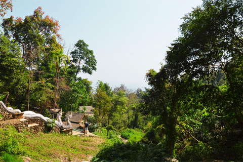 Chiang Mai: 4-godzinna wycieczka do Doi Suthep, Wat Umong i Wat Phalat