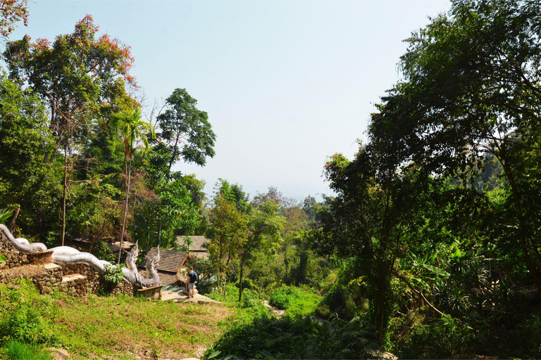 Chiang Mai: 4-uur Doi Suthep, Wat Umong en Wat Phalat Tour