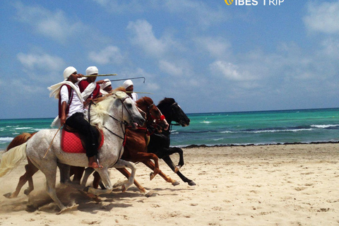 Djerba (EINE TAGESTOUR ZUR ENTDECKUNG DER INSEL DJERBA)