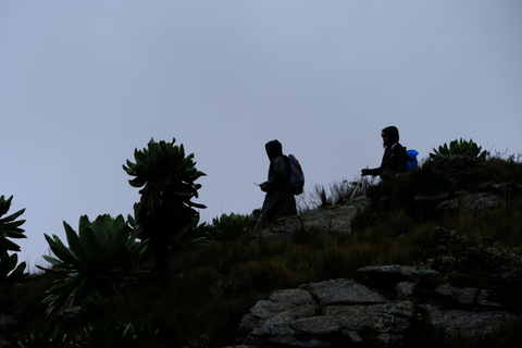 Aberdare National Park: Mount Satima Overnight Hike