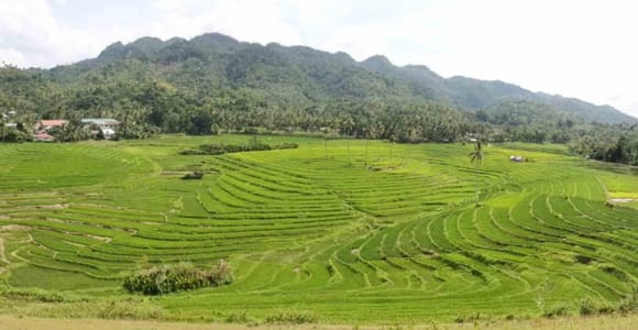 From Panglao Island: Anda & Candijay Tour with Transfers