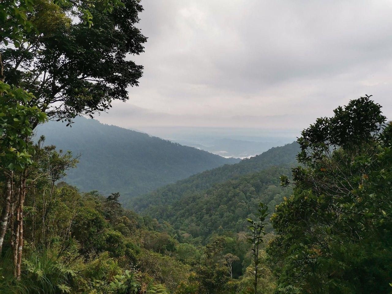 Ab Kuala Kubu Bahru: Geführte Wanderung zum Mount Gap und zum Mount Gus