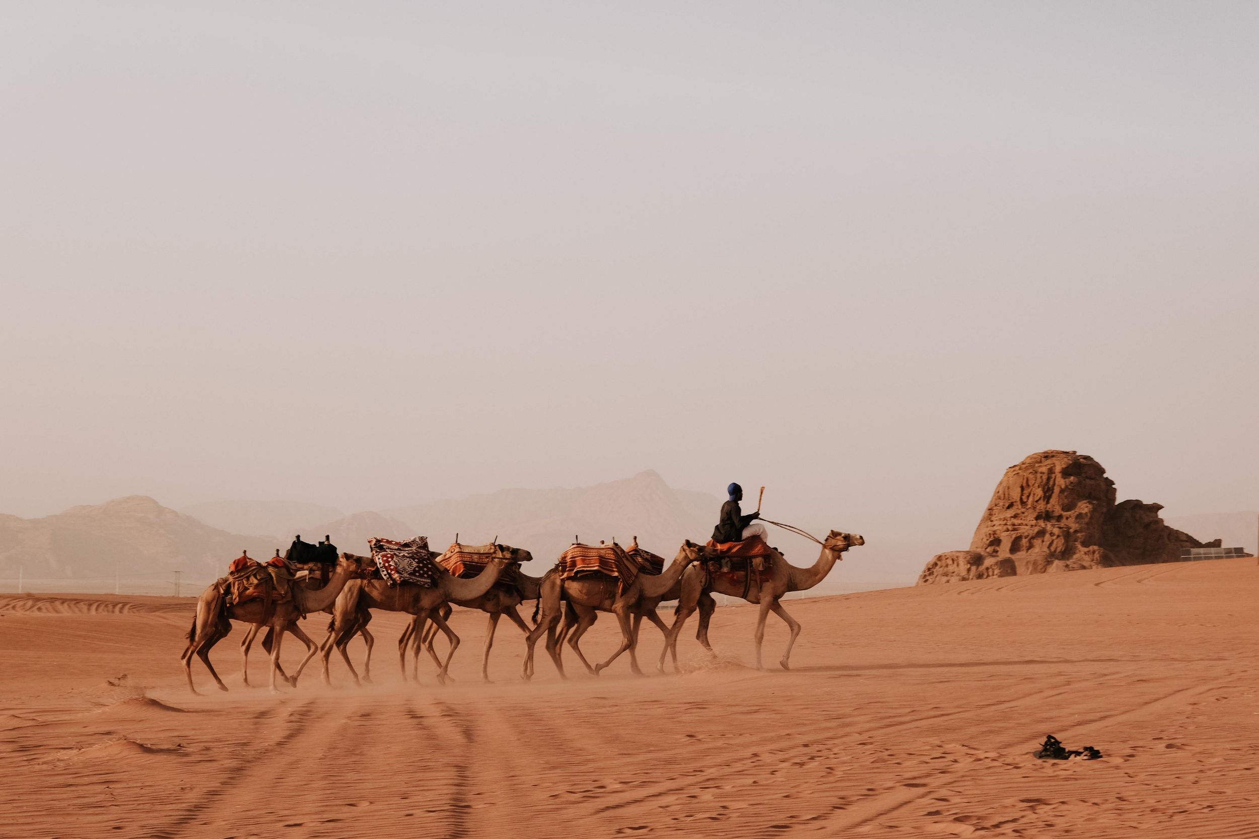 Von Amman aus: private oder gemeinsame Ganztagestour nach Petra und Wadi Rum