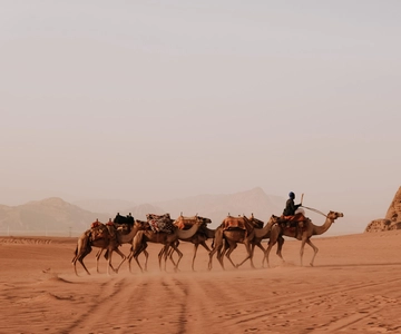 Da Amman: Tour di un giorno intero di Petra e Wadi Rum