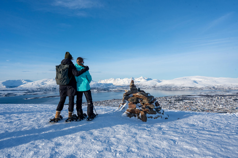 Tromsø: Fjellheisen sneeuwschoenwandeling en kabelbaanrit overdag