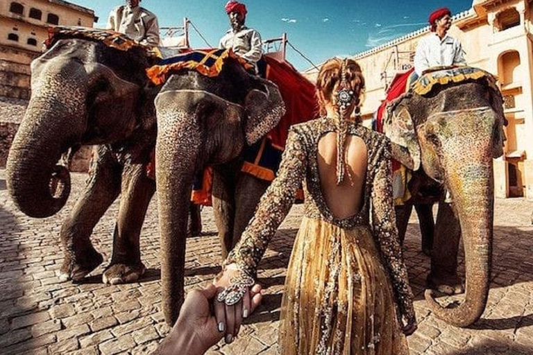 Jaipur: Hathi Gaon Elephant Riding Painting-Feeding Activity Photography with Elephant