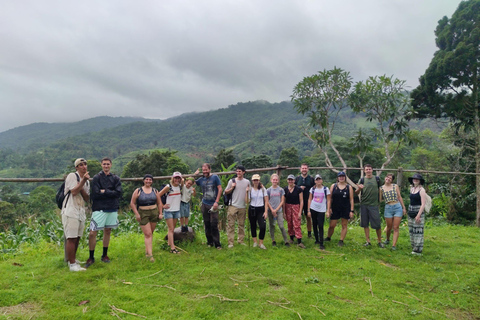 Chiang Rai: Jungle Adventure-Group Trekking & Bamboo Cooking