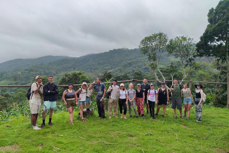 Chiang Rai: Jungle Adventure-Group Trekking & Bamboo Cooking