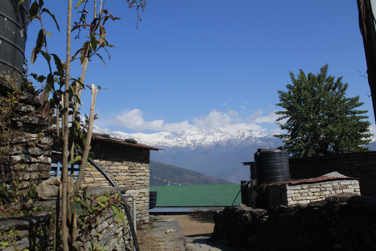 From Pokhara: Australian Camp and Dhampus Guided Day Hike