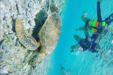 Lombok : Snorkeling Tour Secret Gili, Nanggu, Kedis, Sudak