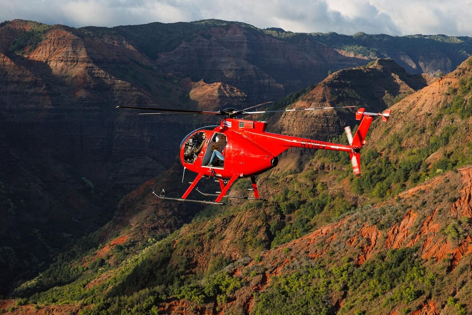 Kauai: volo dell&#039;elicottero Hughes 500 a 4 passeggeri con porta aperta