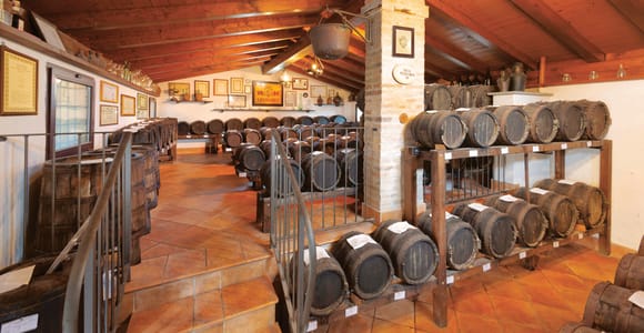 MODENA: BALSAMICO-ESSIG-TOUR UND VERKOSTUNG