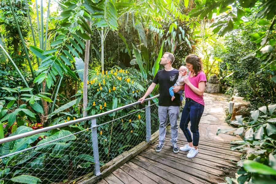 Hannover: SEA LIFE Entry Ticket. Foto: GetYourGuide