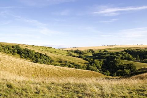 Depuis Londres : Stonehenge, Bath et le West Country