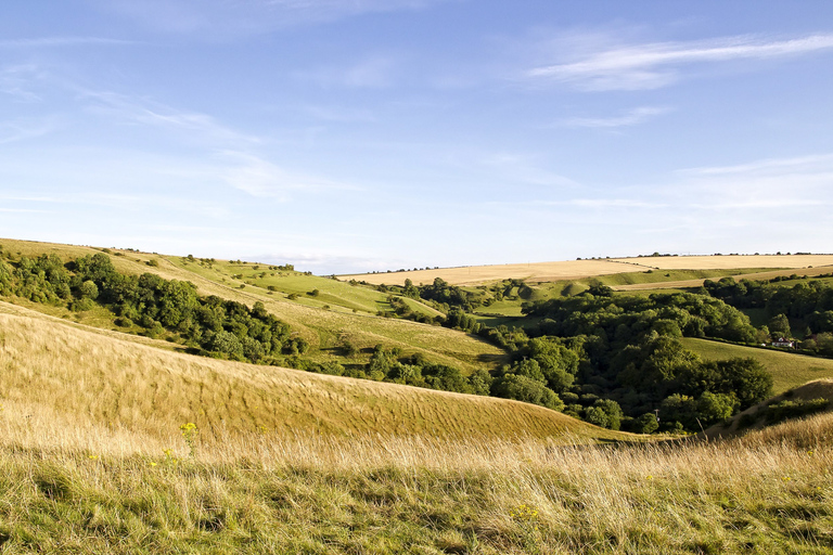 Depuis Londres : Stonehenge, Bath et le West Country