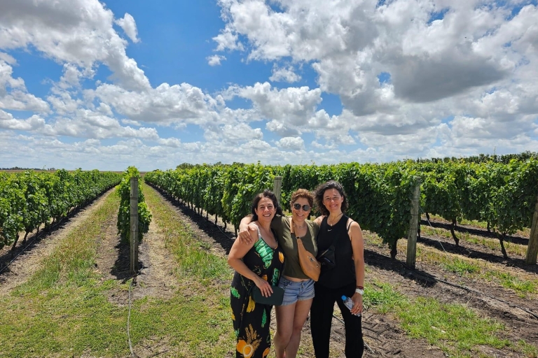 Montevideo: Tannat Wine Experience w CanelonesDoświadczenie wina z lunchem