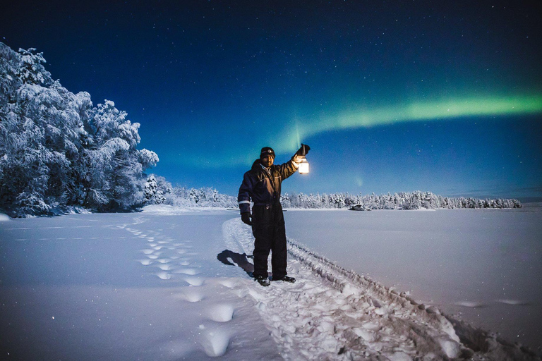 De Rovaniemi: Tour fotográfico da aurora boreal com serviço de busca