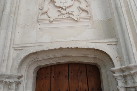 Nantes: 90-minute tour of St. Peter and St. Paul Cathedral with a professional guide