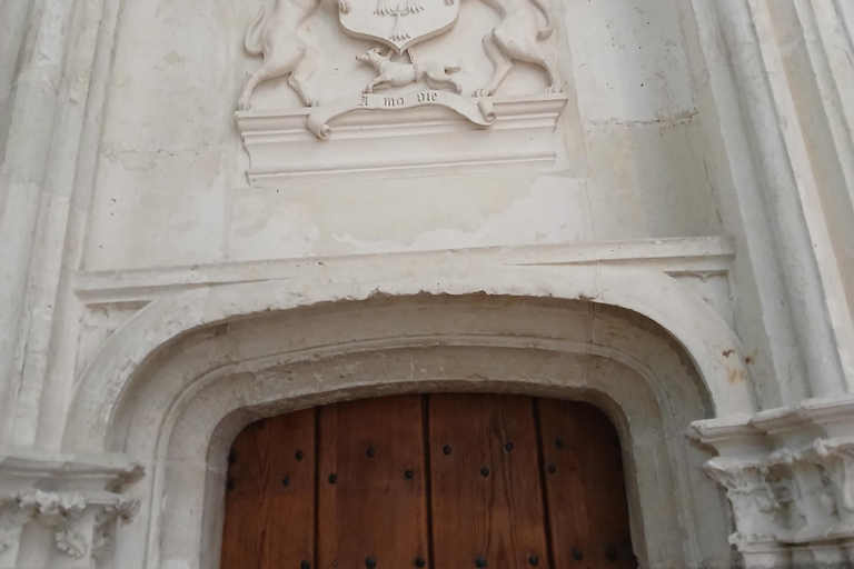 Nantes: 90-minute tour of St. Peter and St. Paul Cathedral with a professional guide