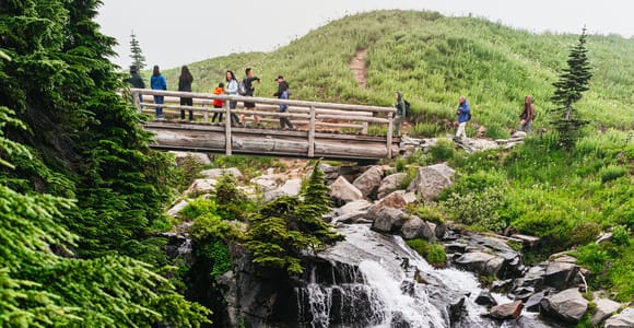 Von Seattle aus: Führung zum Mount Rainier National Park