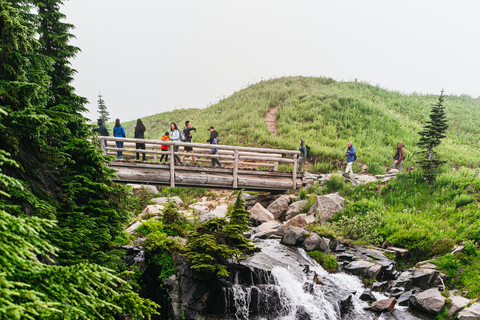 From Seattle: Mount Rainier National Park Guided Tour