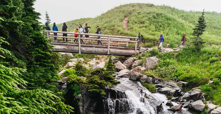 From Seattle Mount Rainier National Park Guided Tour GetYourGuide