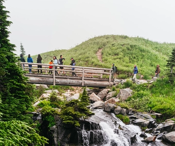From Seattle: Mount Rainier National Park Guided Tour
