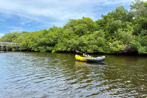 Fort Lauderdale: Kayak & Paddleboard Mangroves Eco Adventure