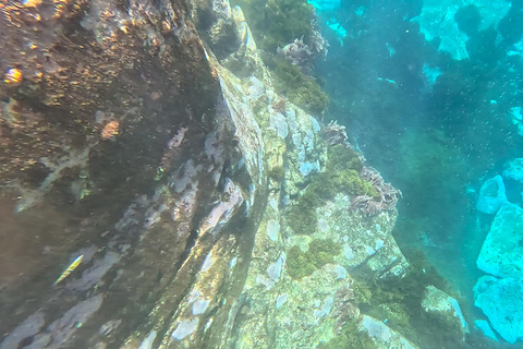 Kajak- en snorkeltour naar het natuurreservaat Garajau