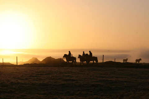 Hveragerdi: The Siggi Horse Riding Tour Hveragerdi: The Siggi Tour 1,5-2 Hours Tour