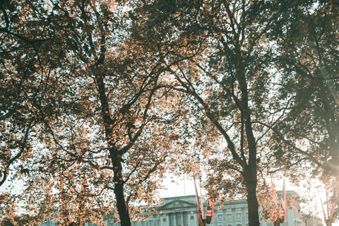 London: Premium 20+ Sights Tour with Expert Local Guide