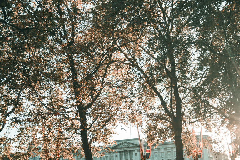 London: Premium 20+ Sights Tour with Expert Local Guide