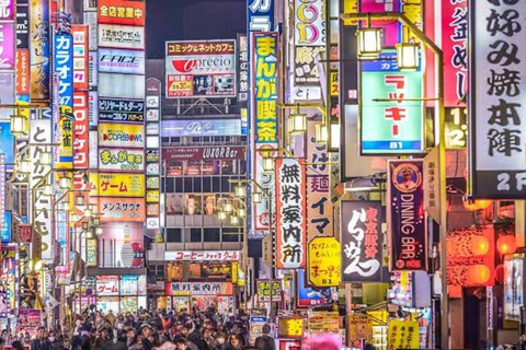 Tokio: Dagvullende tour met Engelssprekende chauffeur