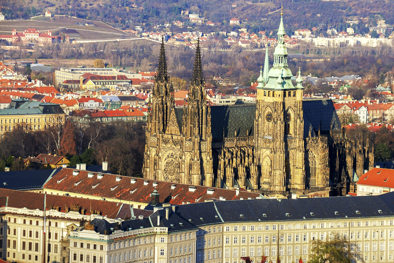 Praga: Biglietto di ingresso prioritario per il castello e audioguida facoltativaBiglietto per il castello di Praga con breve introduzione