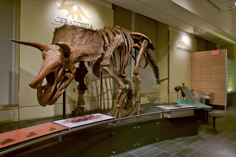 Ottawa: Canadian Museum of Nature Admission | GetYourGuide