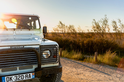 Aigues-Mortes 3H: Discover the secret Camargue in a 4x4 Full-Day