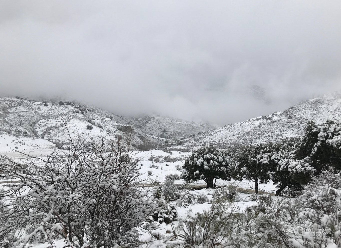 Fra Granada: Sierra Nevada Safari Tour til 2500 meters højde