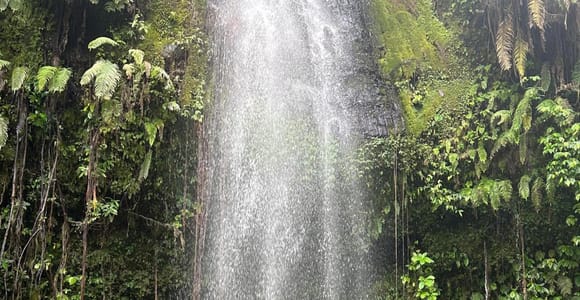 Lombok: Benang Stokel and Benang Kelambu Waterfall Tour