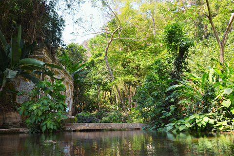 Chiang Mai: 4-timmars rundtur med Doi Suthep, Wat Umong och Wat Phalat