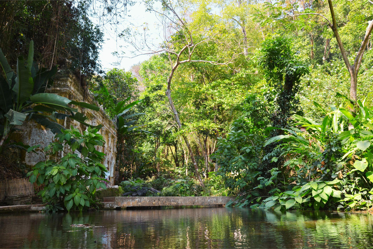 Chiang Mai: 4-stündige Doi Suthep, Wat Umong, &amp; Wat Phalat Tour