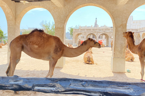 Doha: Wycieczka po mieście z przewodnikiem i rejs łodzią Dhow Wycieczka prywatna