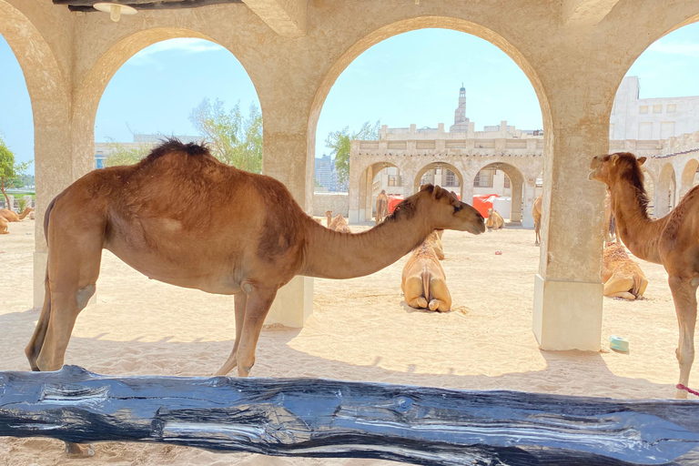 Doha: Wycieczka po mieście z przewodnikiem i rejs łodzią Dhow Wycieczka prywatna